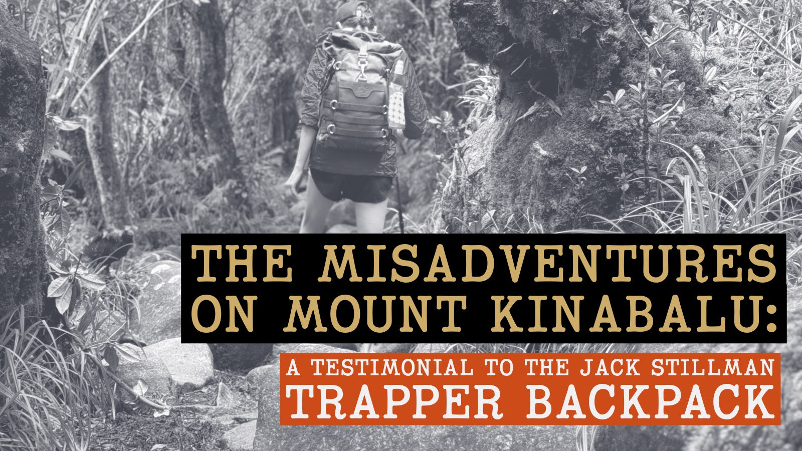 The Misadventures of Mount Kinabalu: A Testimonial to the Jack Stillman Trapper Backpack